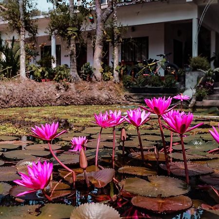 Ferienwohnung Marari Ebin Charlys Mararikulam Exterior foto